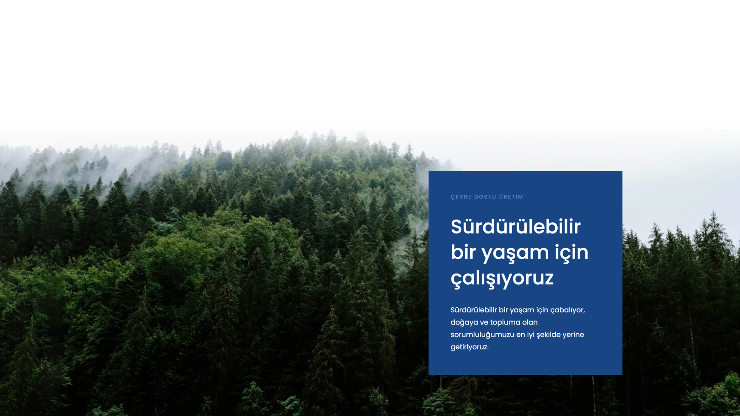 bursa web tasarım